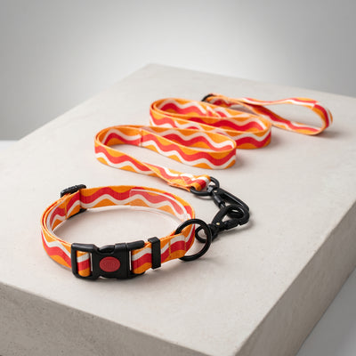 Color Wave Collar and Leash Set