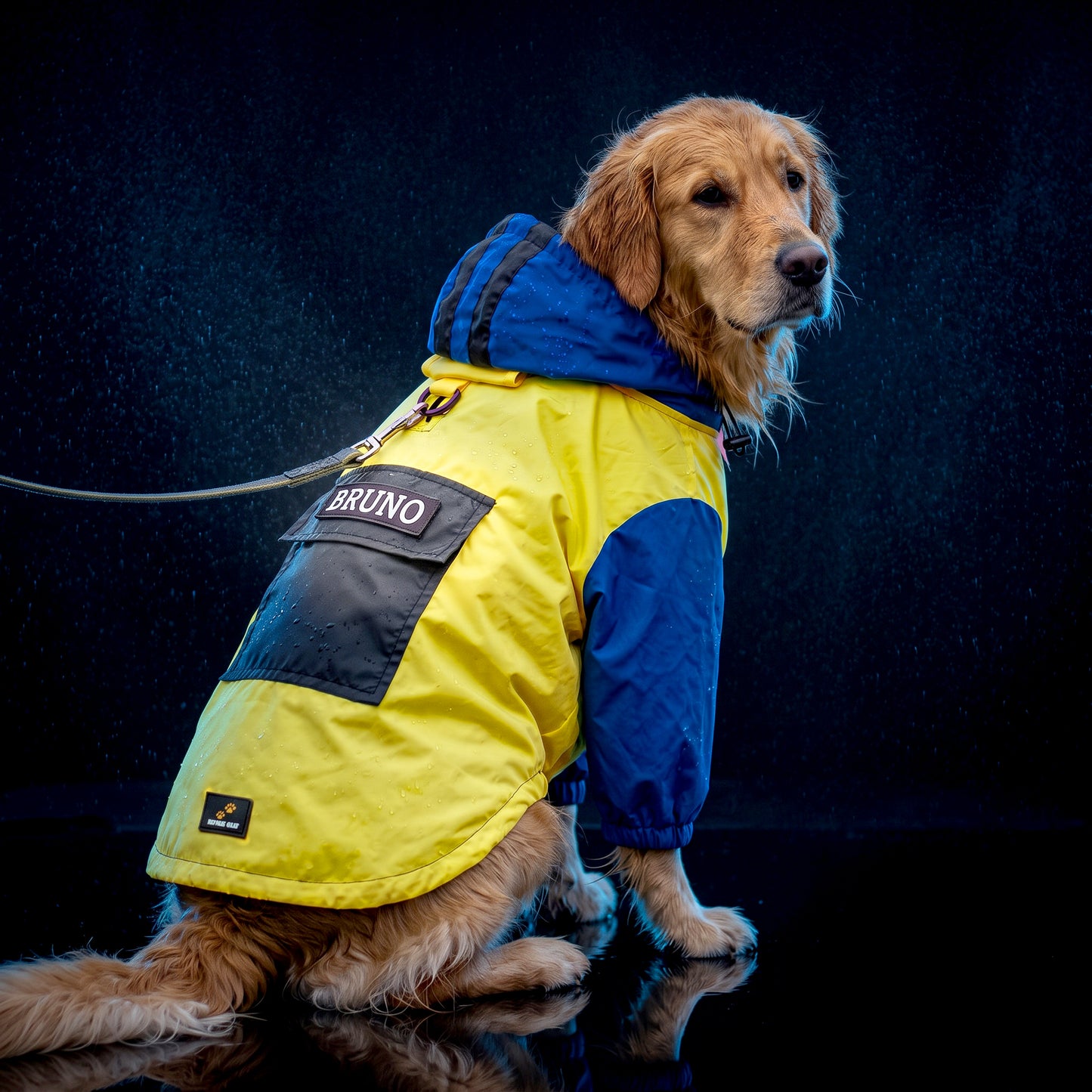 Personalized Dog Raincoat Jacket