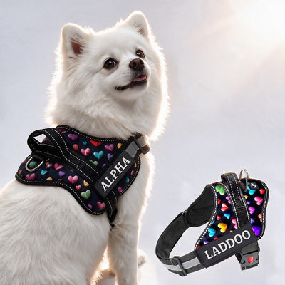 Personalized Dog Harness - SUPER HEARTS 3D