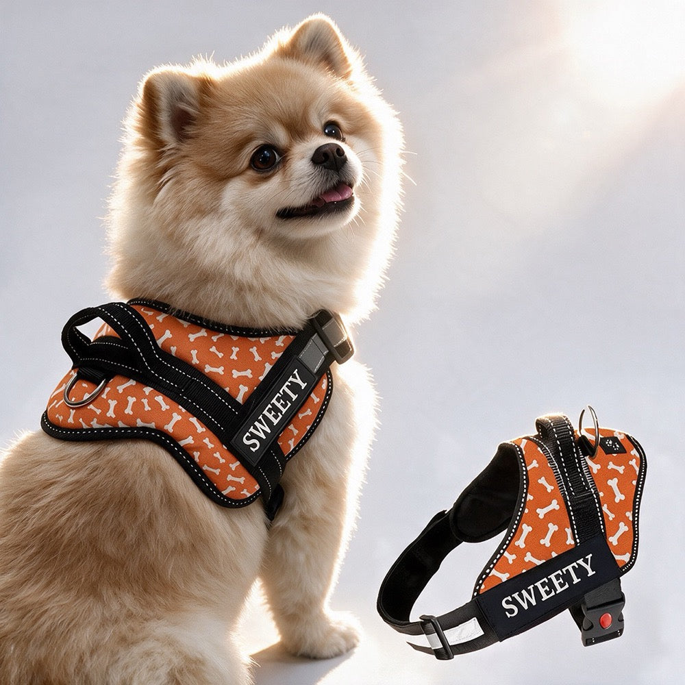 Personalized Dog Harness - TANGERINE