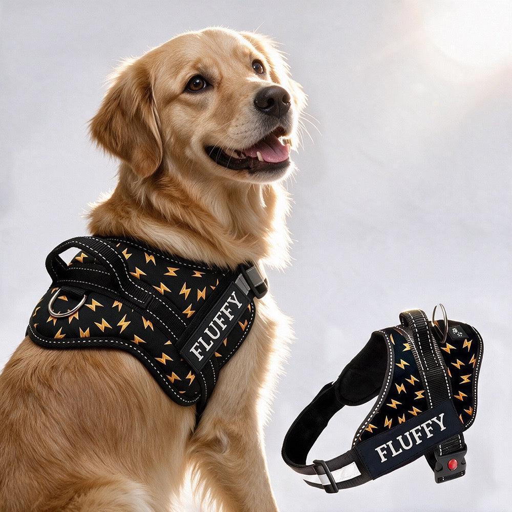 Personalized Dog Harness - THUNDER