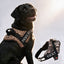 Personalized Dog Harness - WILD LEOPARD