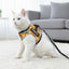 Personalized Cat Harness 2.0 - Giggles