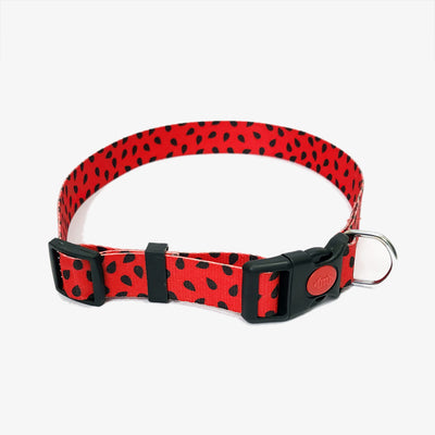 Graphic Dog Collar - JUICY WATERMELON