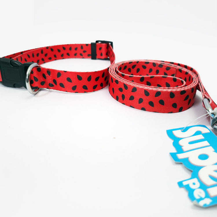JUICY WATERMELON Graphic Dog Collar and Leash Combo