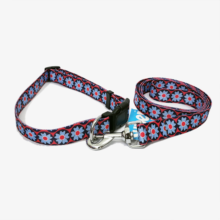 FAIRY FLOWER Graphic Dog Collar and Leash Combo