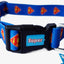 SUPERMAN Graphic Collar and Leash Combo