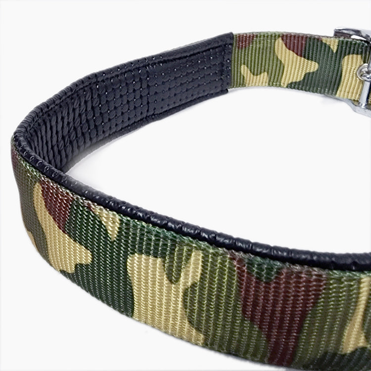 Graphic Dog Collar - ARMY Print