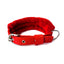 IndiHopShop FUR Nylon Dog Collar - RED