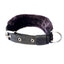 IndiHopShop FUR Nylon Dog Collar - BLACK