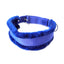 IndiHopShop FUR Nylon Dog Collar - BLUE