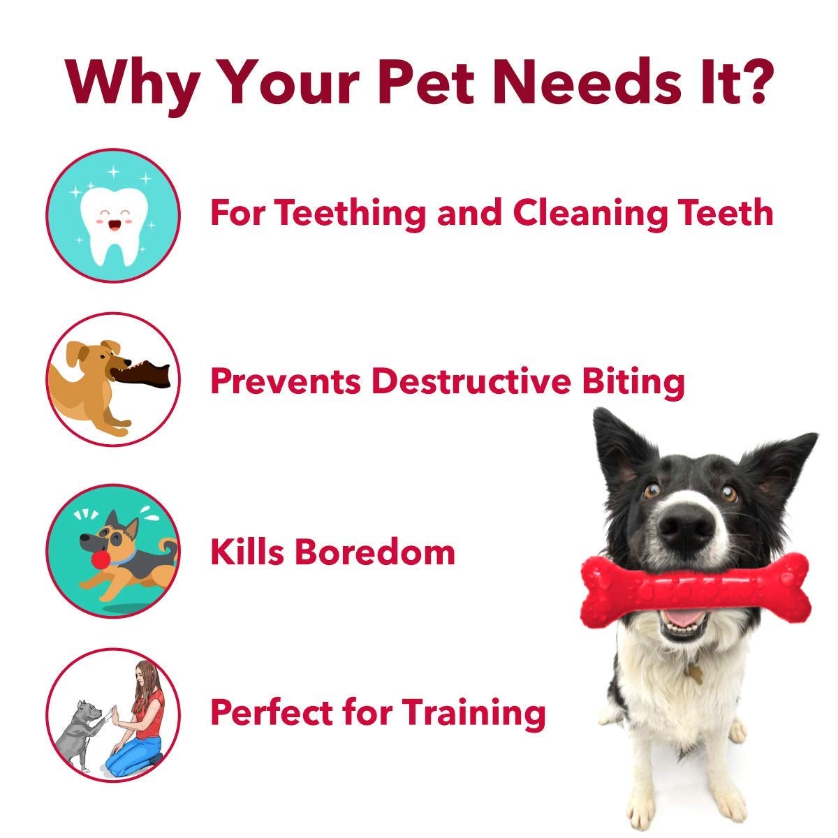 Non-Toxic Rubber Dog Chew Bone Toy, Puppy/Dog Teething Toy freeshipping - Indihopshop
