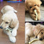 IndiHopShop Nylon Arched Bone Dental Teething Chew Toy Tough Dog Bone