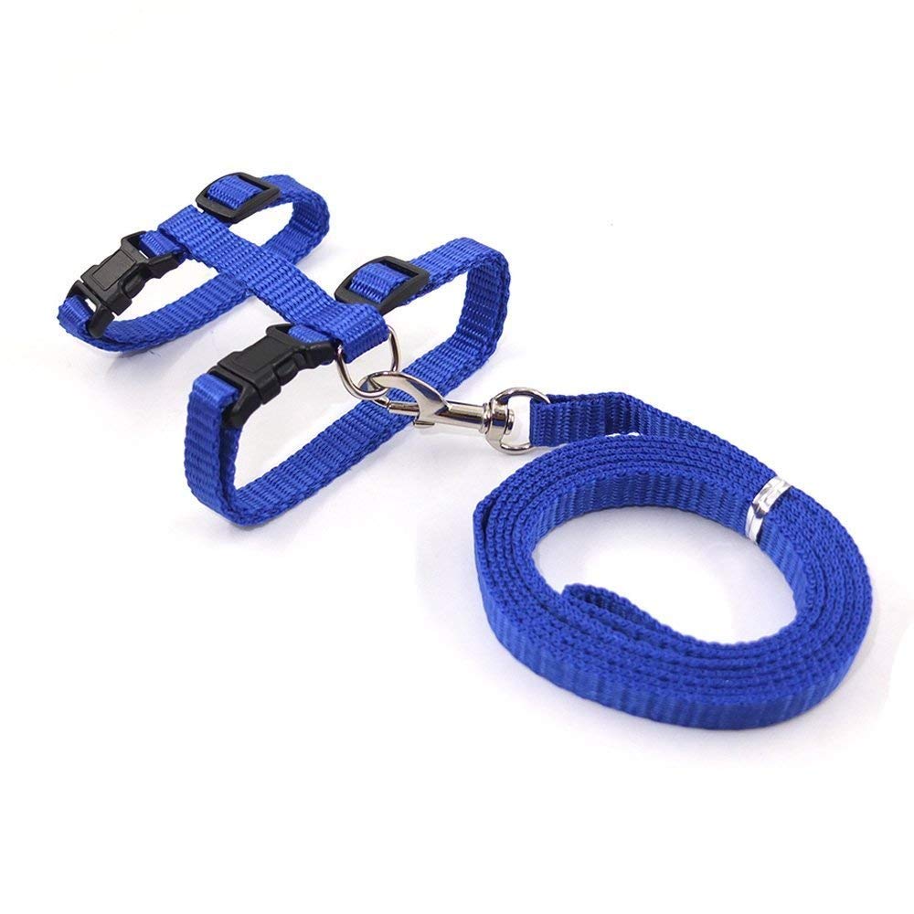 Cat Harness & Leash Combo - 10mm