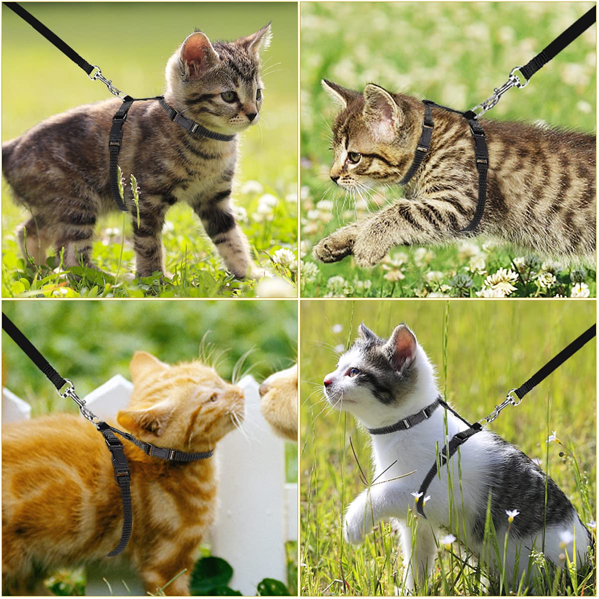 Cat Harness & Leash Combo - 10mm