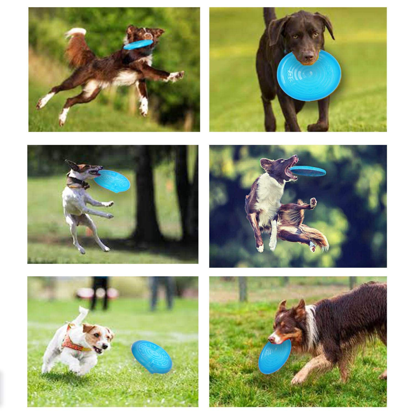 Blue Rubber Flyer Flying Disc for Dog freeshipping - Indihopshop