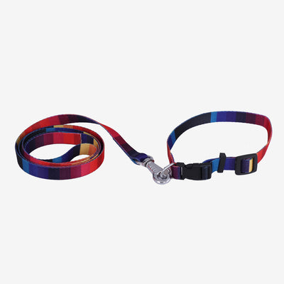 Graphic Dog Collar and Leash Combo freeshipping - Indihopshop