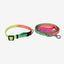 Rainbow Collar & Leash Set for Puppies freeshipping - Indihopshop
