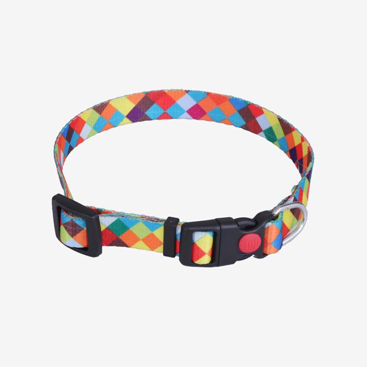 Graphic Dog Collar - RAINBOW REEL
