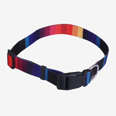 Graphic Dog Collar - BLUE BANDS