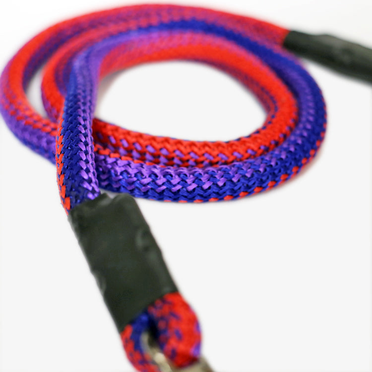 Strong Dog Rope 5 Feet - Poison Blue (15 MM)