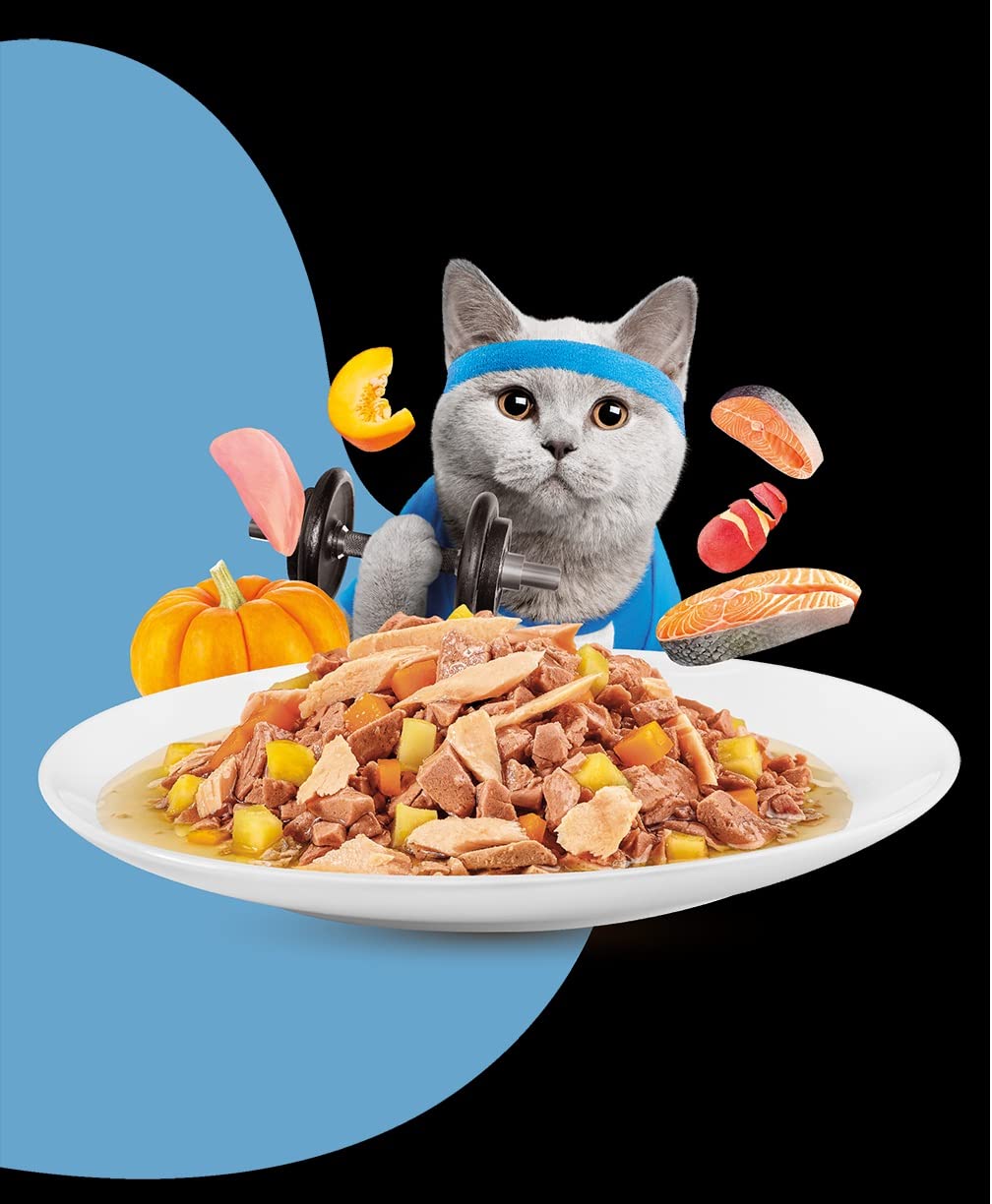 MOOCHIE Wet Cat Food Grain-Free Gravy Cat Treat Weight Control with Salmon Complete & Balanced Nutrition