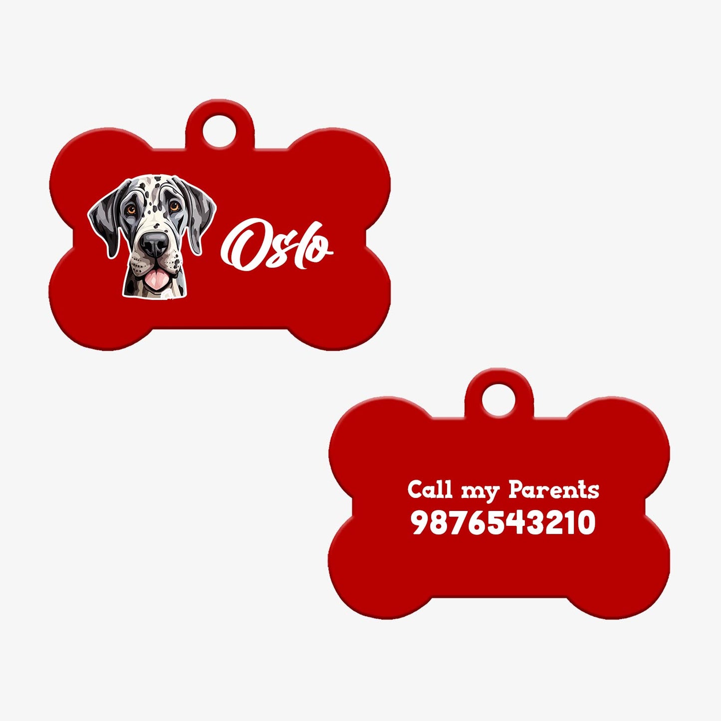Personalized Metallic Pet ID Tag