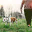 Retractable Dog Leash Pause and Lock with One Hand Brake System