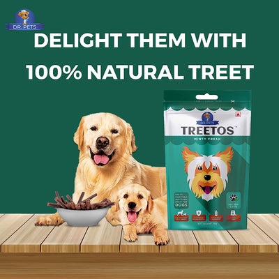 TREETOS Minty Fresh by DR. Pets (70 g Pack)