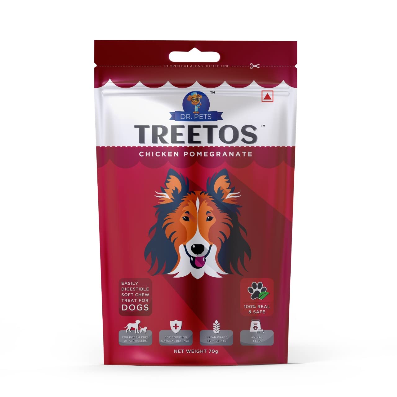 TREETOS Chicken Pomegranate by DR. Pets (70 g Pack)
