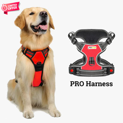 PRO Harness - Red - Reflective | No-Choke | Adjustable